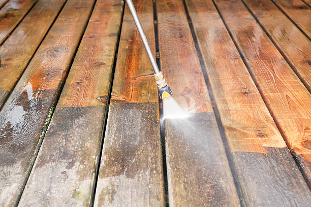 Best Rust Removal  in Venetian Vlage, IL